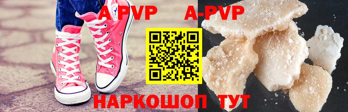 A PVP СК Новокубанск
