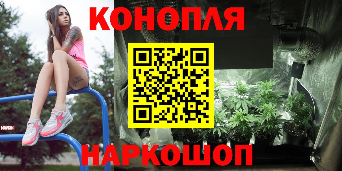Бошки марихуана ГИДРОПОН  Бошки марихуана White Widow  Новокубанск  Вход с VPN  Бошки Шишки AK-47 